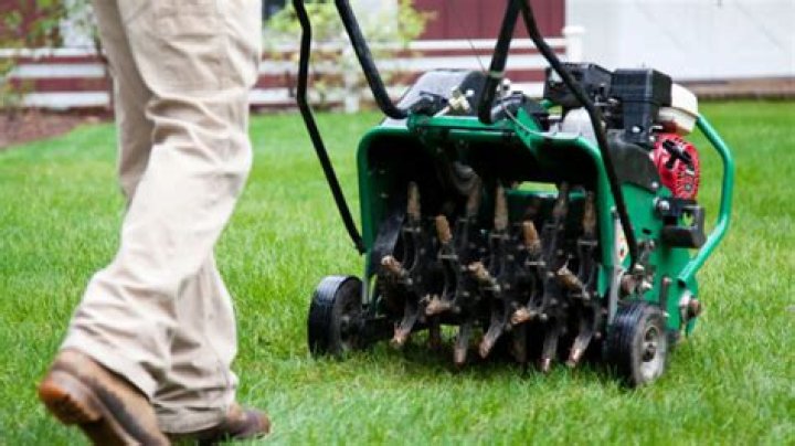 Should you aerate and power rake your lawn?