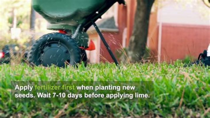 Should you apply lime or fertilizer first?