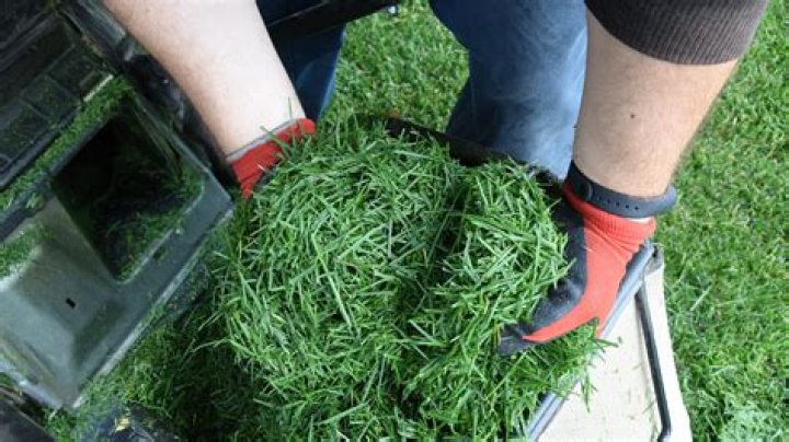 Should you leave grass clippings on the lawn?