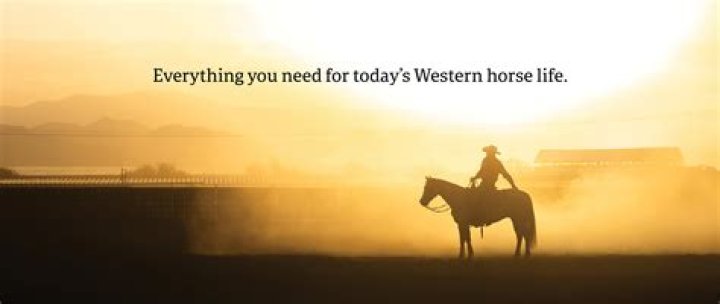 Should you leave horses out in the rain?