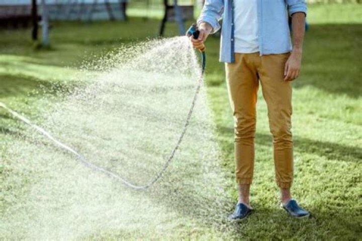 Should you water after fertilizing lawn?