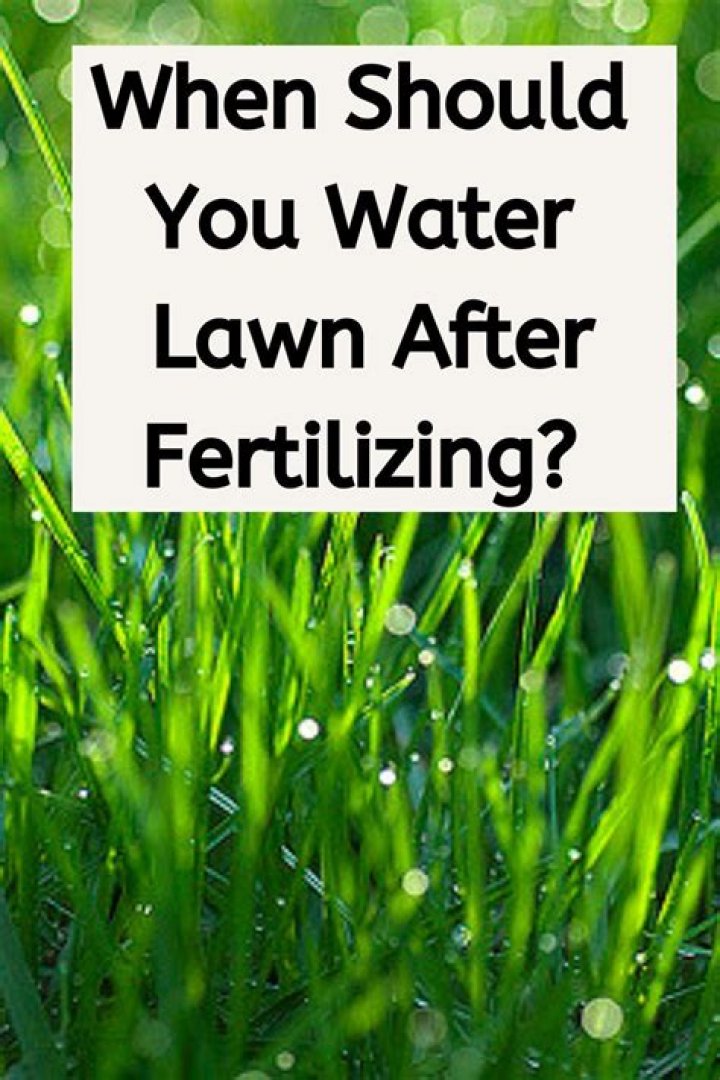 Should you water lawn after fertilizing?