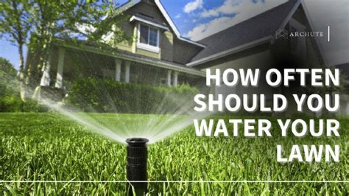 Should you water the ground before laying grass seed?