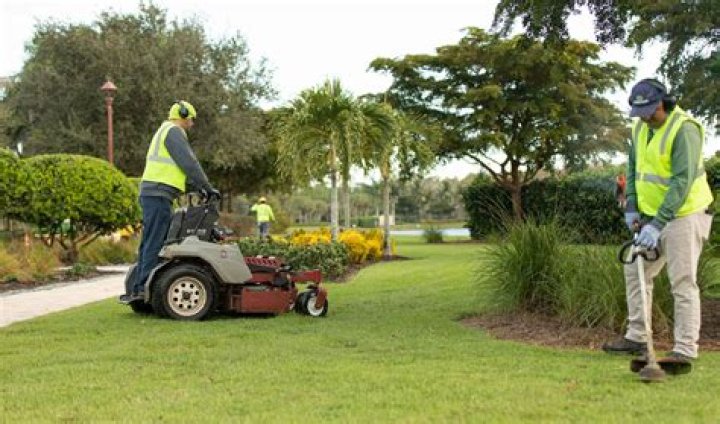 What a landscaper needs to know?