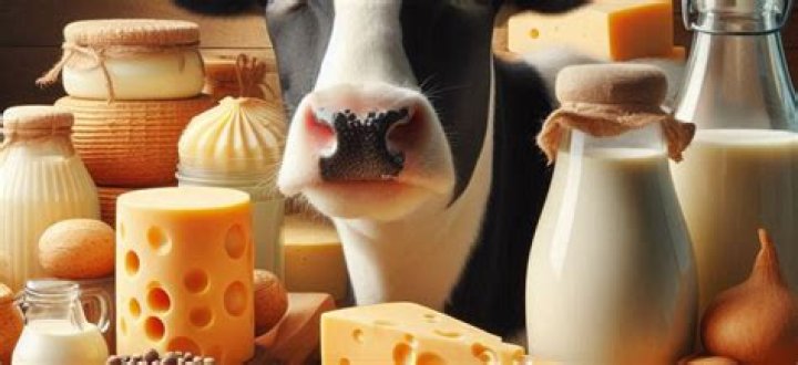 What animals milk make cheese?