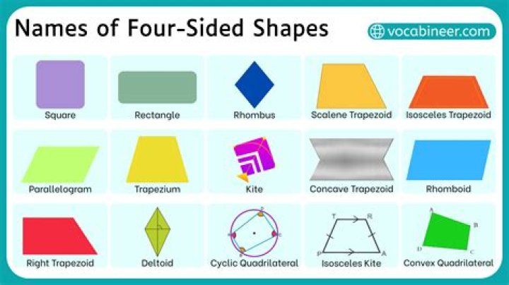 What are bush shapes called?