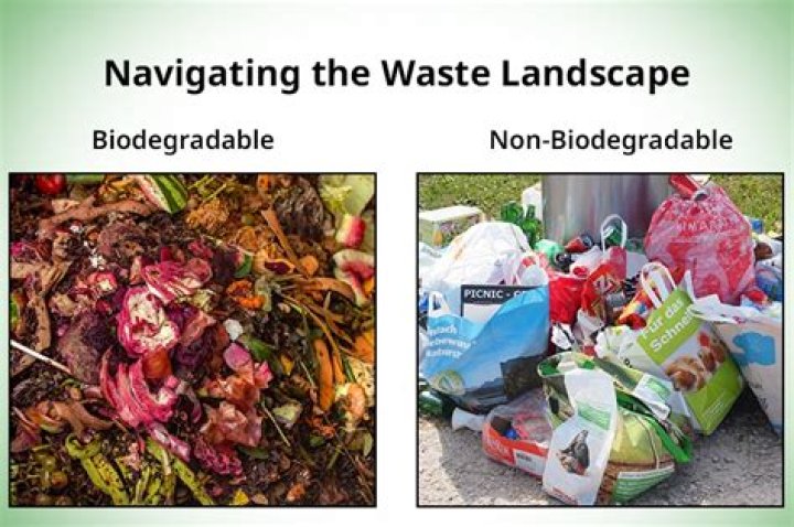 What are examples of biodegradable waste?