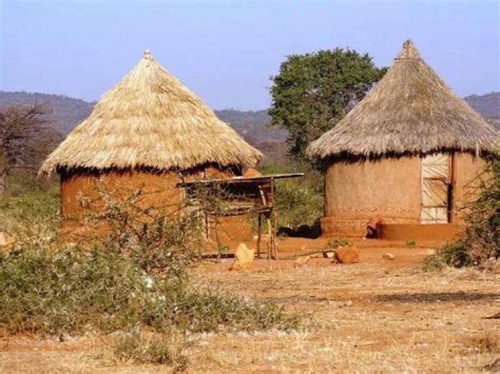 What are huts made out of in Africa?