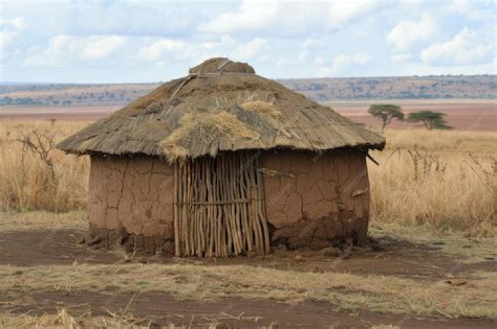 What are mud huts made of?