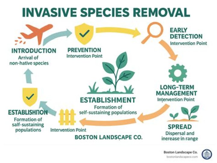 What are solutions for invasive species?