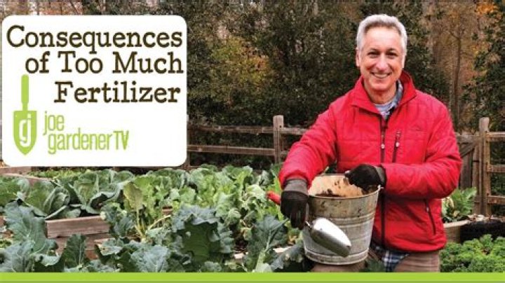 What are symptoms of too much fertilizer?