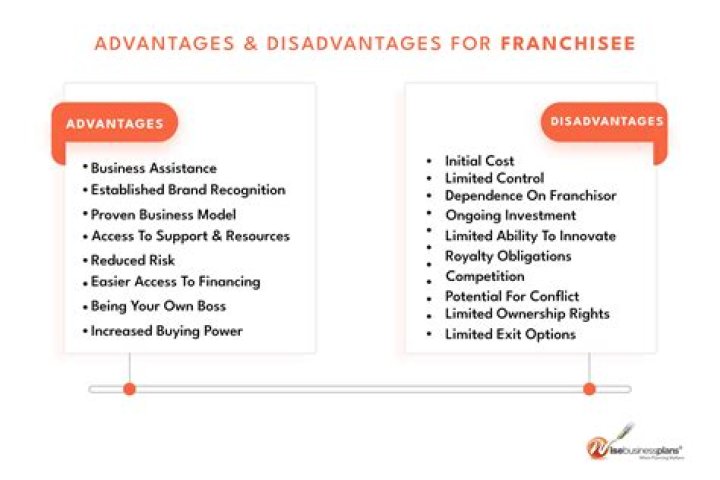 What are the advantages and disadvantages of commercial?