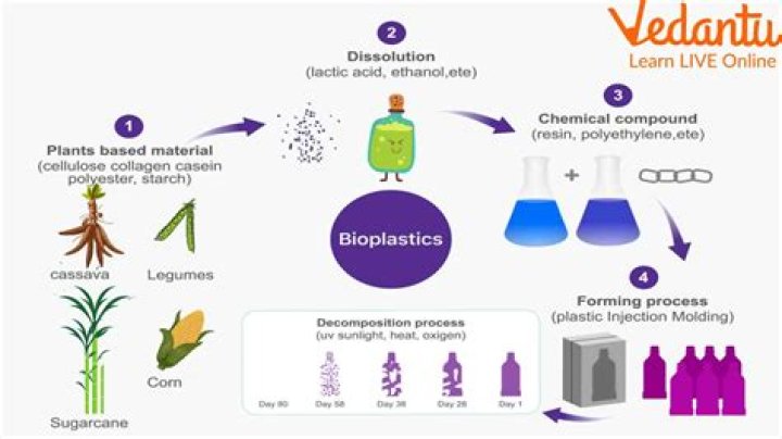 What are the advantages of plant reproduction?