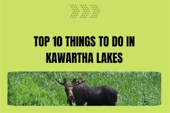What are the best things to do in Kawartha Lakes?