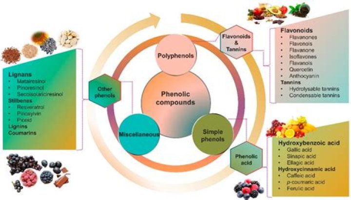 What are the compounds found in cheese?