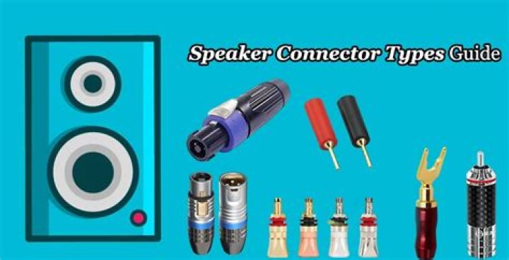 What are the connectors on speakers called?