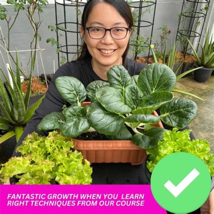 What are the easiest vegetables to grow in a small garden?