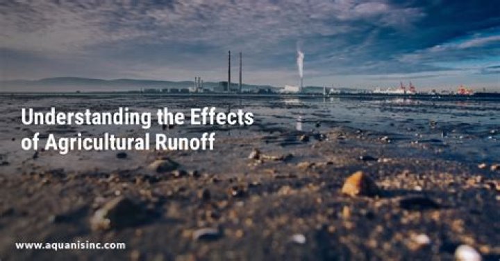 What are the effects of nutrient rich runoff?