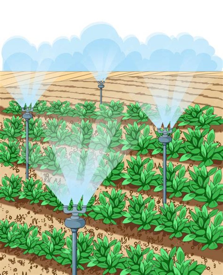 What are the features of sprinkler irrigation?