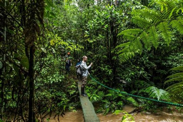 What are the houses in the Amazon rainforest called?