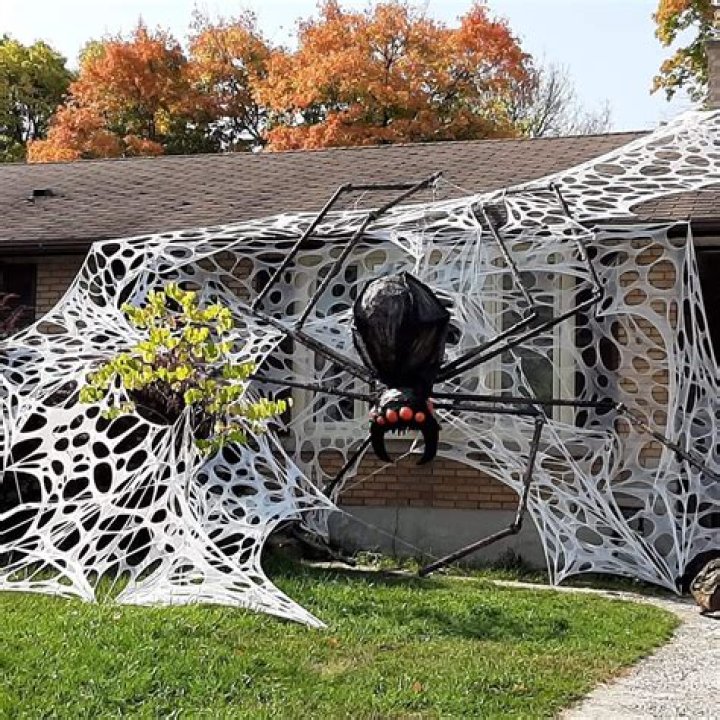 What are the little webs all over my lawn?