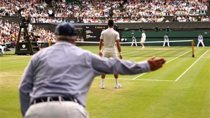 What are the officials in lawn tennis?
