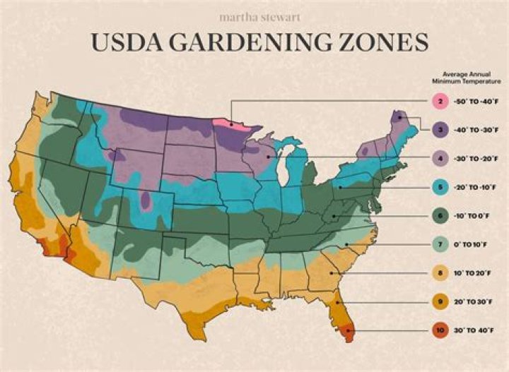 What are the problems in gardening?