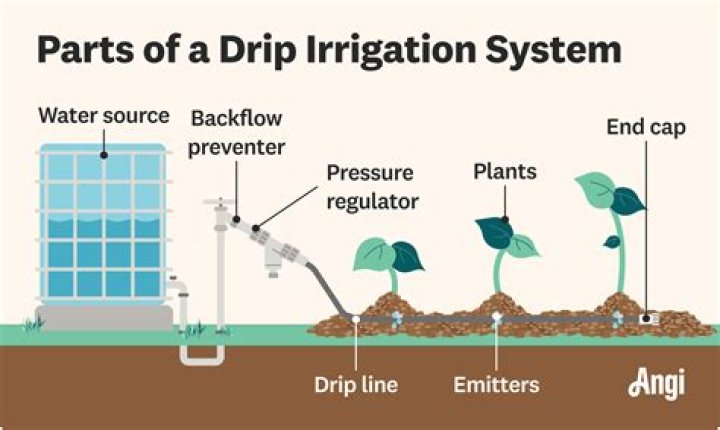 What are the symptoms of an irrigation system problem?