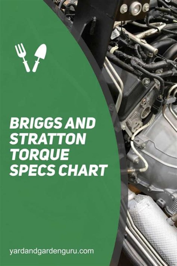 What are the torque specs for a Briggs and Stratton head bolts?