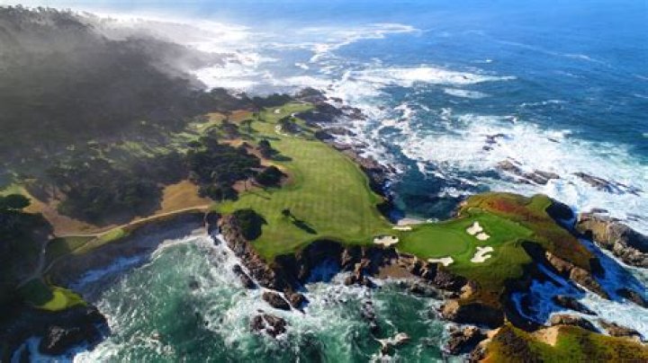 What are the trees on Pebble Beach golf course?