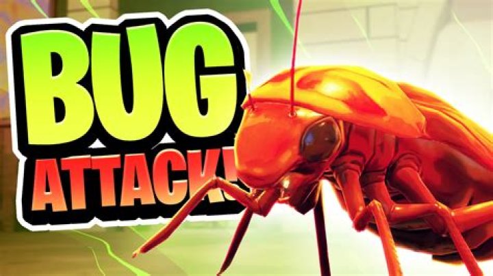 What bugs attack orange trees?