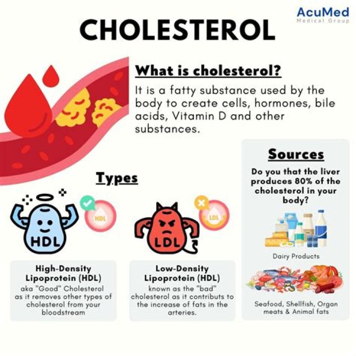 What can cause cholesterol to rise quickly?