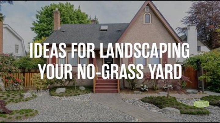 What can I do with a large back yard?