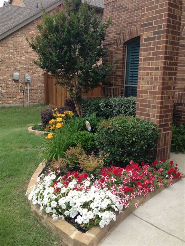 What can I do with tiny front garden?