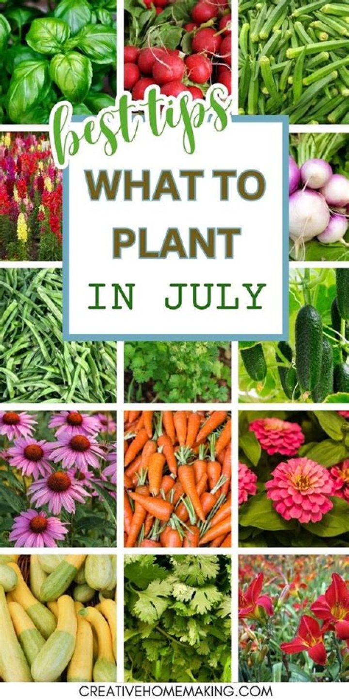 What can I plant in my edible garden?