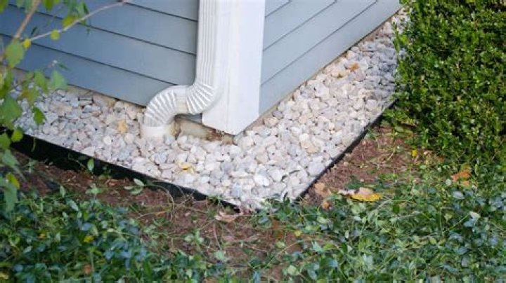 What can I put around my house instead of mulch?