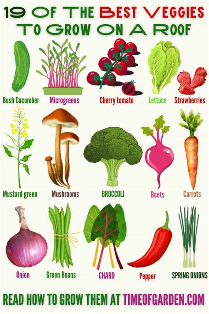 What can you grow on a roof terrace?
