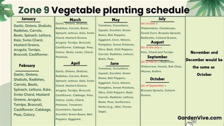 What can you plant in the fall in Zone 8?