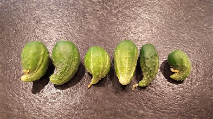What causes deformed cucumbers?