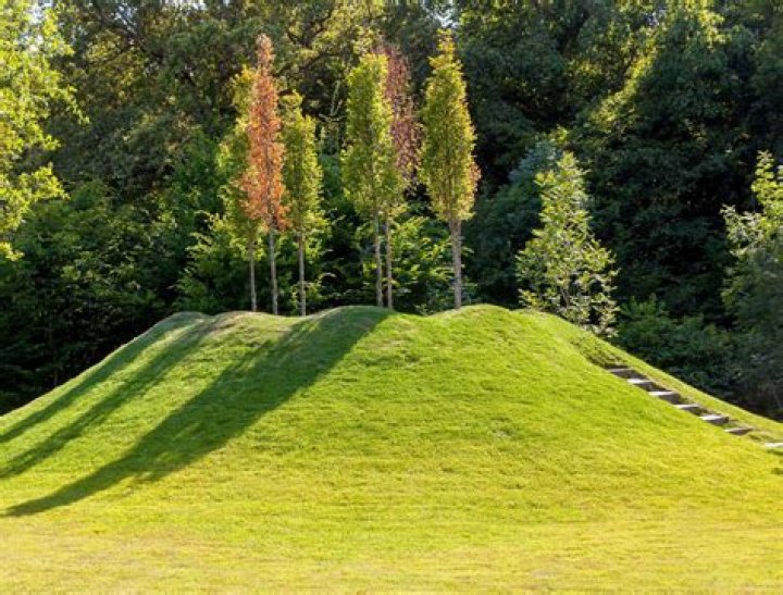 What causes grass mounds?