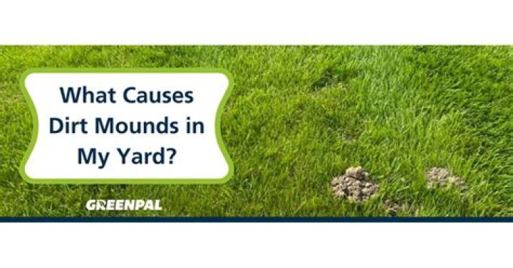 What causes lawn mounds?