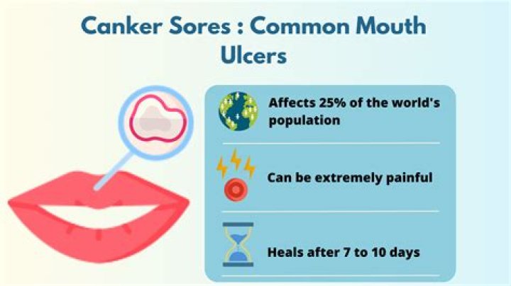 What causes maple canker?