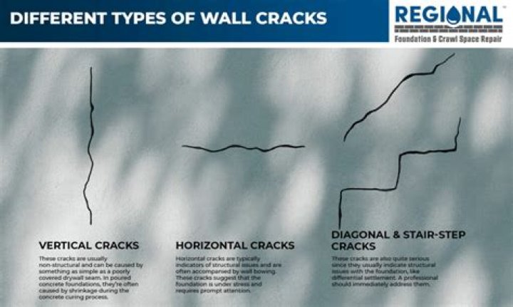 What causes vertical cracks in tree trunks?