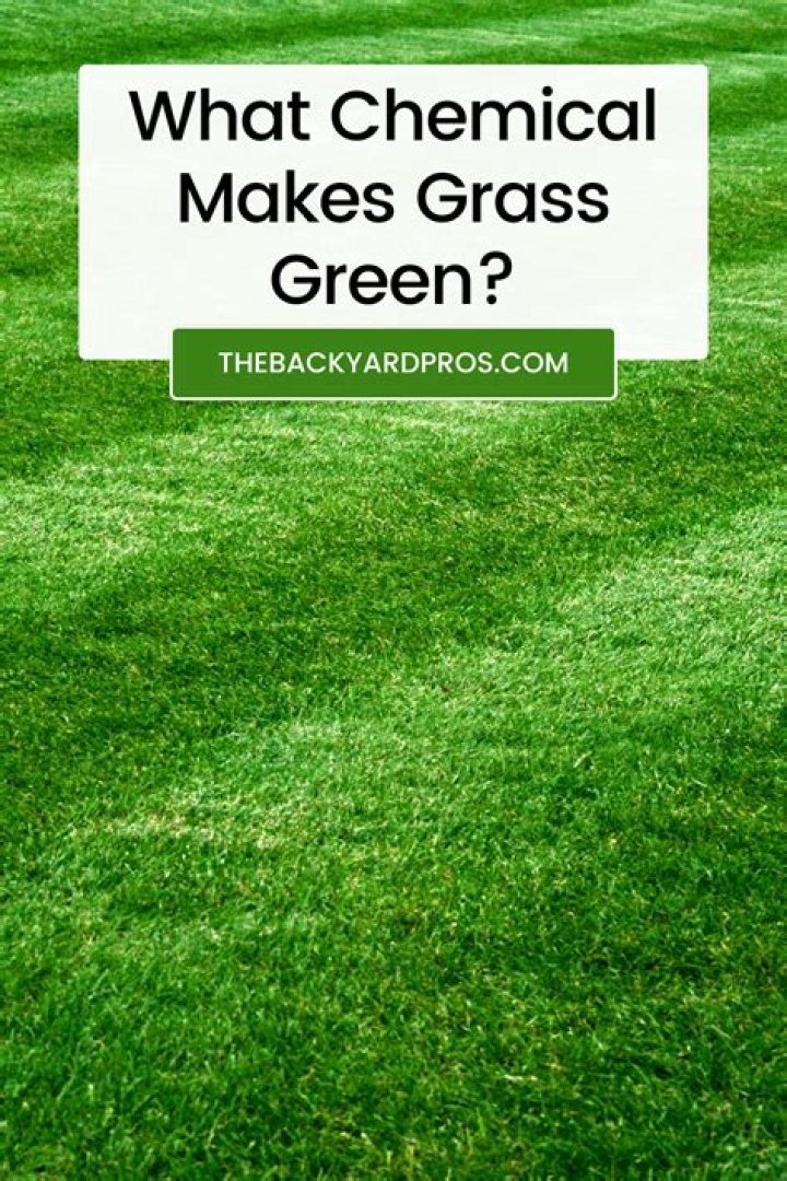 What chemical makes grass grow fast?