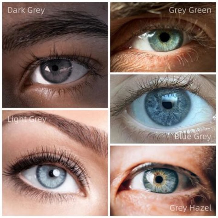 What color does green and grey make?
