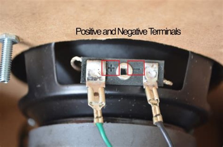 What color wires are speaker wires?