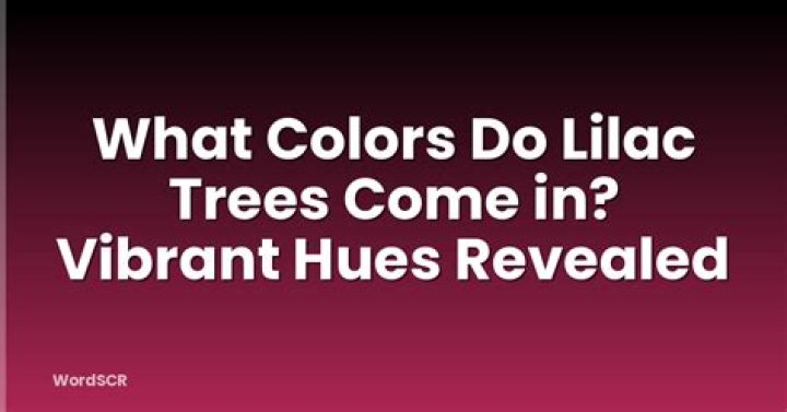 What colors do lilac trees come in?