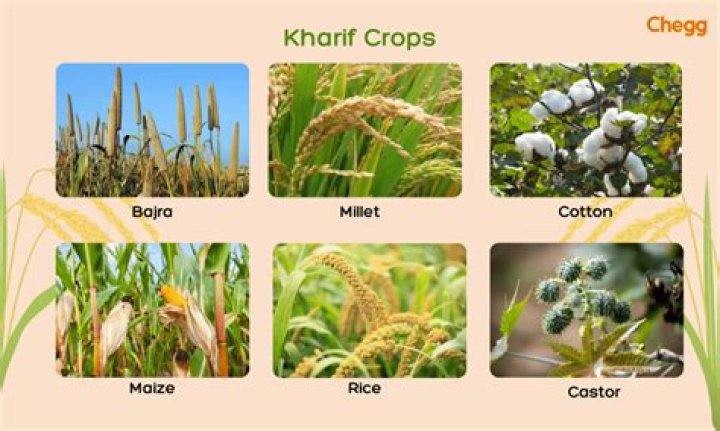 What crops grow in mountain climates?