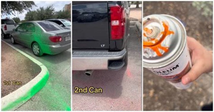 What destroys paint on a car?