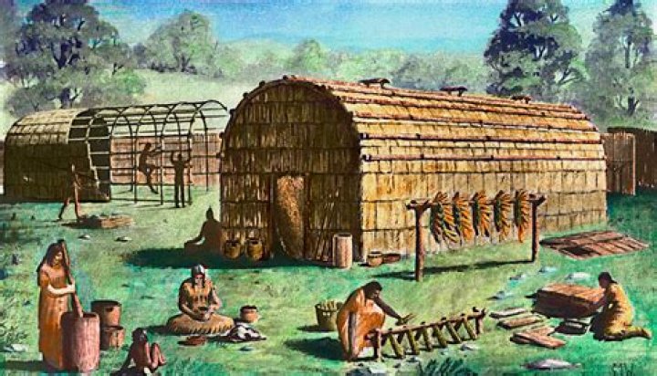 What did the Iroquois homes look like?